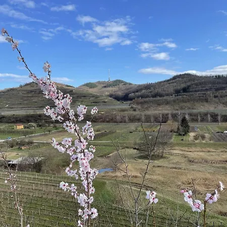 Weingut Vogel شقة *