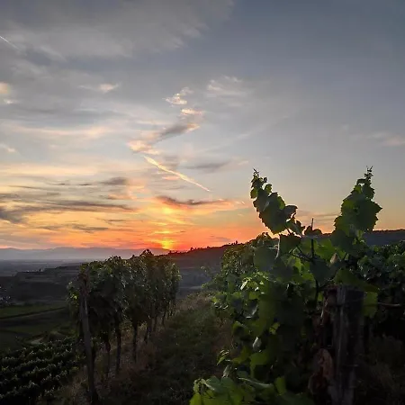 Weingut Vogel Apartment Vogtsburg