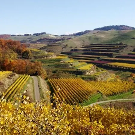 Weingut Vogel *