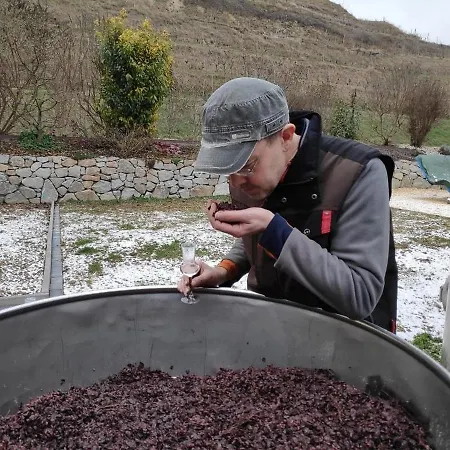 Weingut Vogel شقة