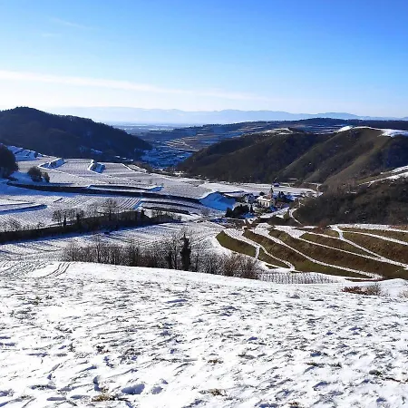 Weingut Vogel شقة *