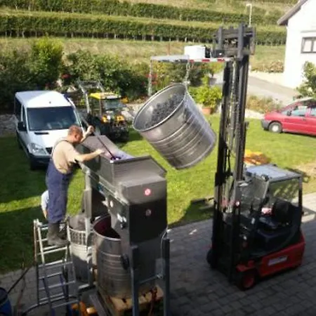 Weingut Vogel