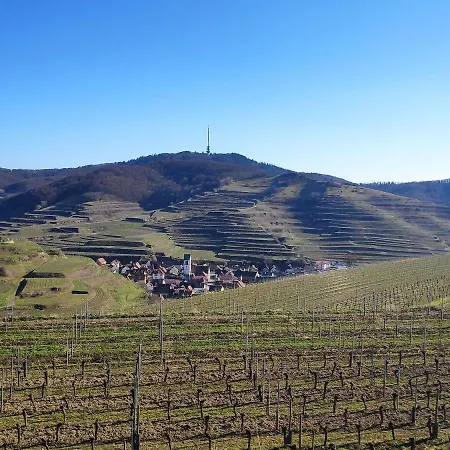 Weingut Vogel *