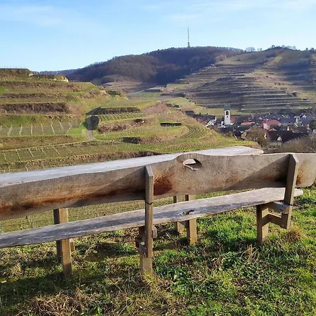 Weingut Vogel
