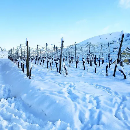 Weingut Vogel * Vogtsburg