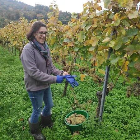 Weingut Vogel Διαμέρισμα Vogtsburg
