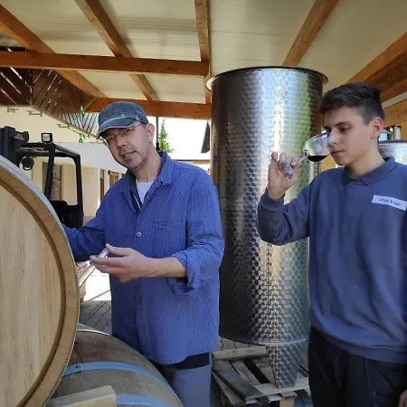 Διαμέρισμα Weingut Vogel Vogtsburg