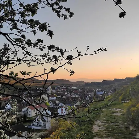 Weingut Vogel *