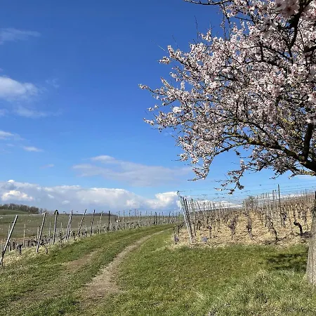 Weingut Vogel Vogtsburg