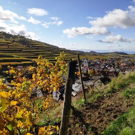 Weingut Vogel Apartment Vogtsburg